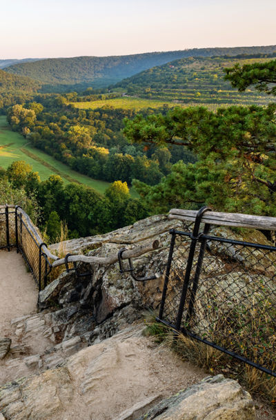Pohled na vinici Šobes a okolní zalesněné kopce Národního parku Podyjí z vyhlídky Devět mlýnů.