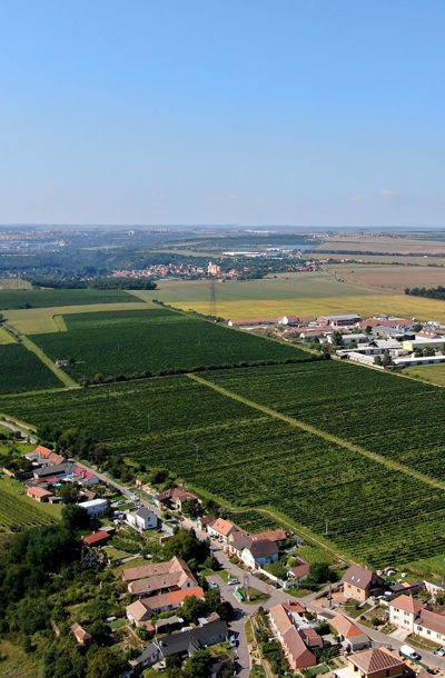 Letecký pohled na vinici Staré vinohrady obklopenou poli a vesnicemi jižní Moravy.