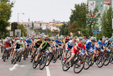 Znojmo Burčák Tour Loucký klášter 