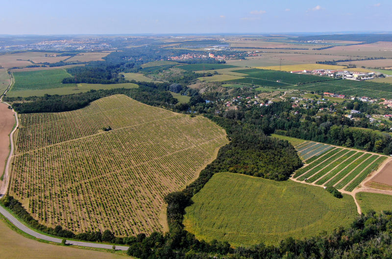 Kamenný vrch