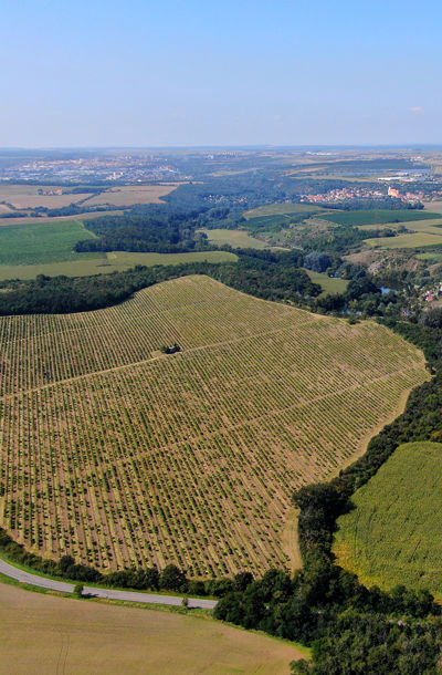 Letecký pohled na vinici Kamenný vrch uprostřed krajiny jižní Moravy.