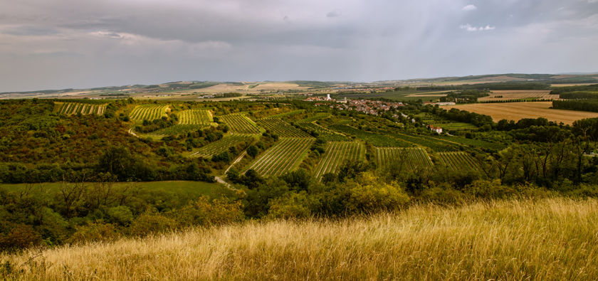 Region Hustopečsko