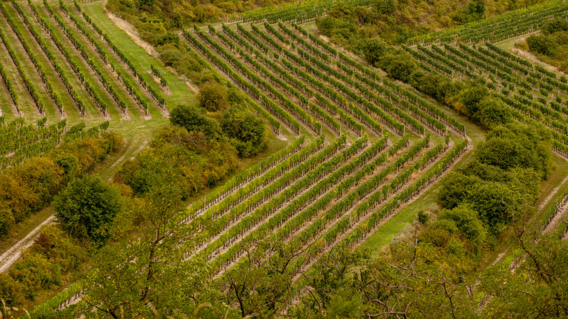 Region Hustopečsko