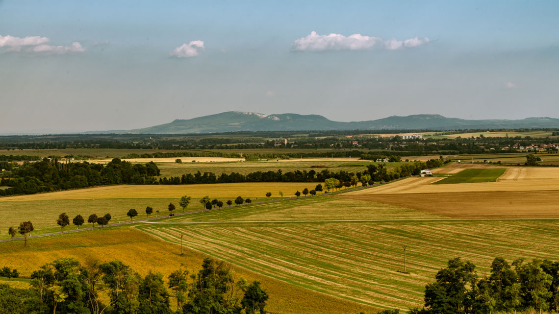 Tématická řada Rosnička zelená