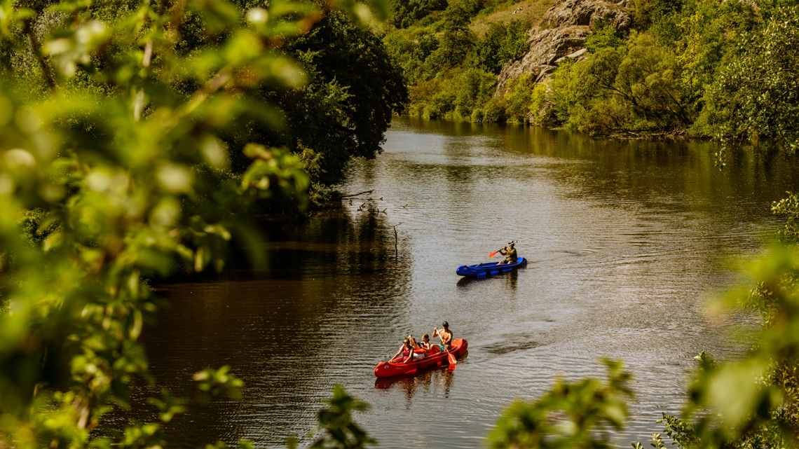 Tématická řada Rosnička zelená