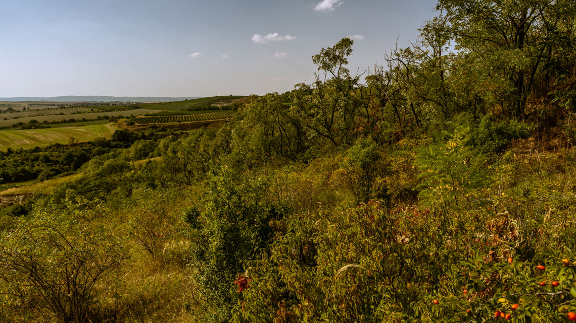 Region Znojemsko