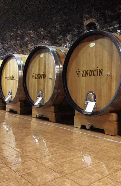 Řada dubových sudů s logem Znovín v tradičním sklepě, připravených pro zrání vína.
