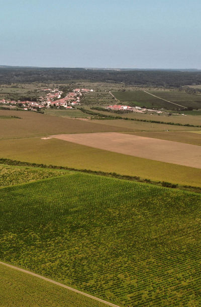 Letecký pohled na vinici Na vinici s okolními poli a obcí v pozadí, zasazenou do krajiny jižní Moravy.