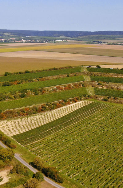 Letecký pohled na terasovitou vinici Peklo obklopenou poli a moravskou krajinou s vesnicí v dálce.