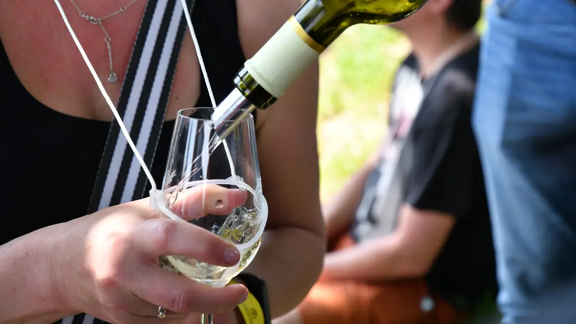 Jarní putování po vinicích Znojemska