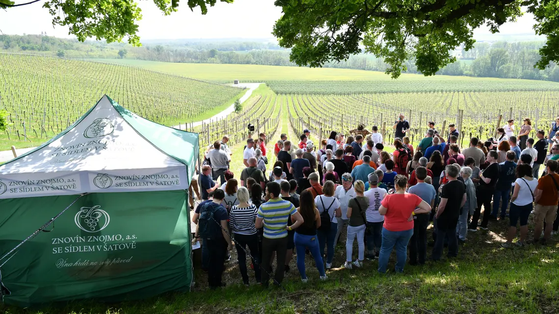 Jarní putování po vinicích Znojemska