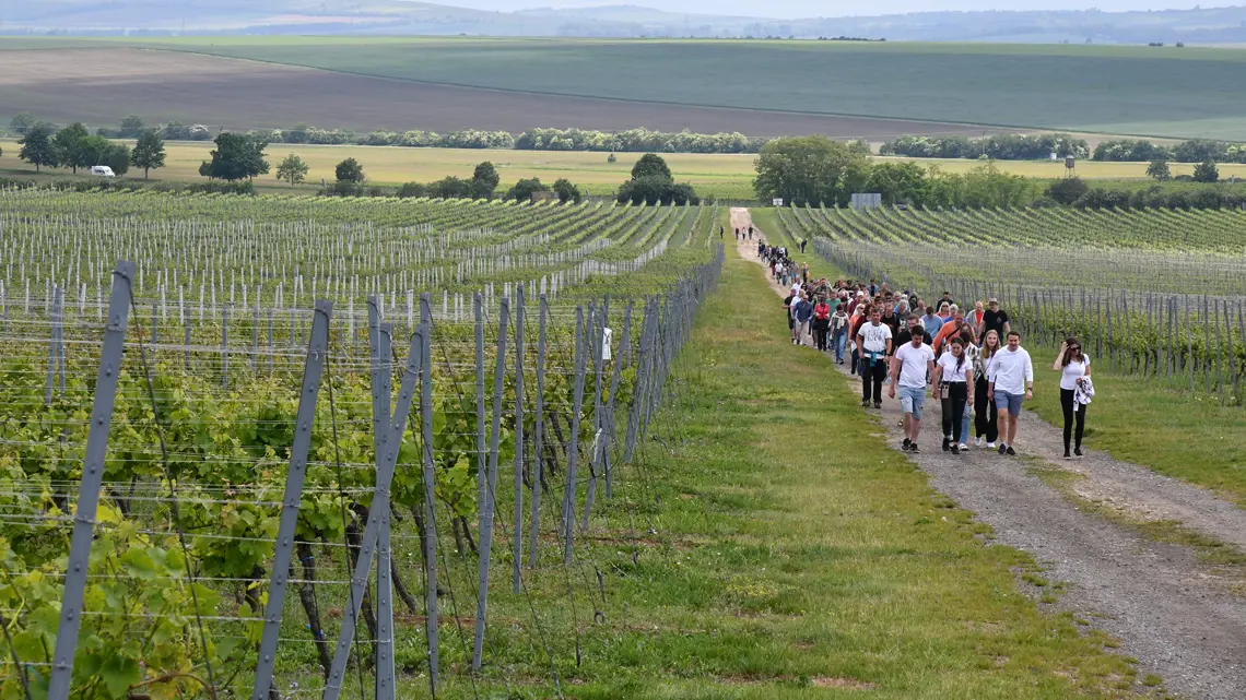 Jarní putování po vinicích Znojemska