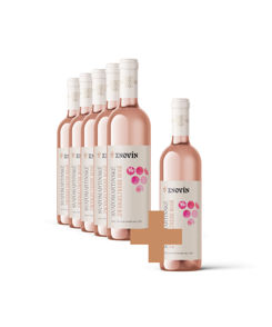 SVATOMARTINSKÉ - Zweigeltrebe rosé 5+1