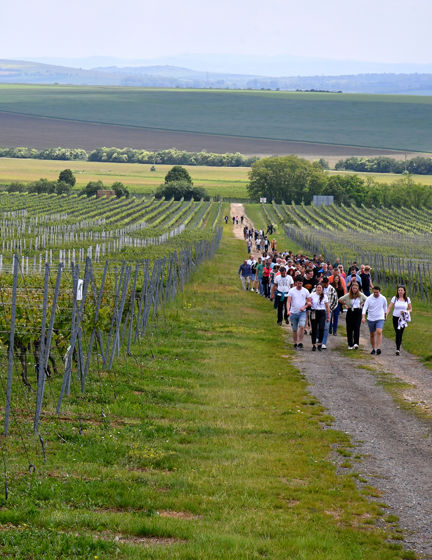 Jarní putování po vinicích Znojemska 2026