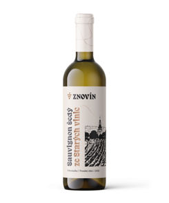 Sauvignon šedý